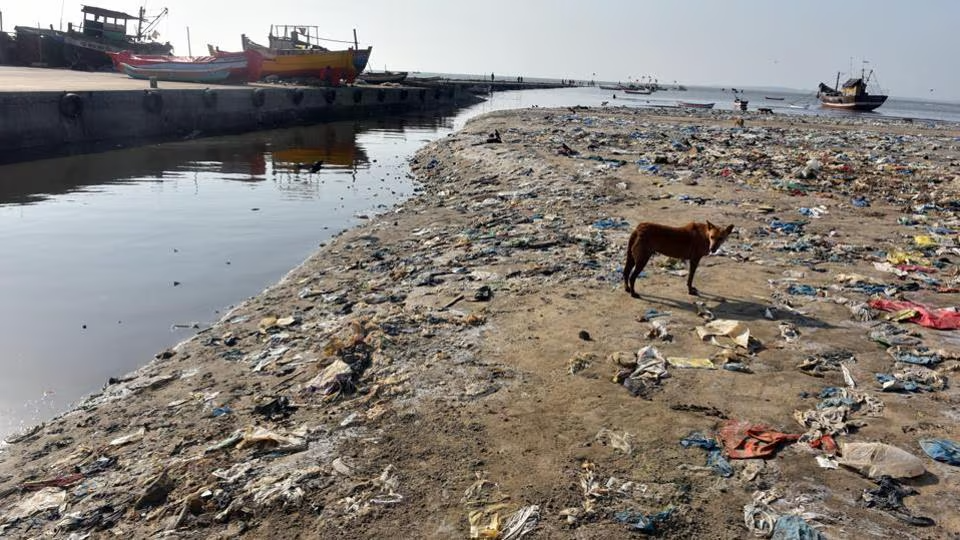 Bhopal Declares Plastic-Free Zones